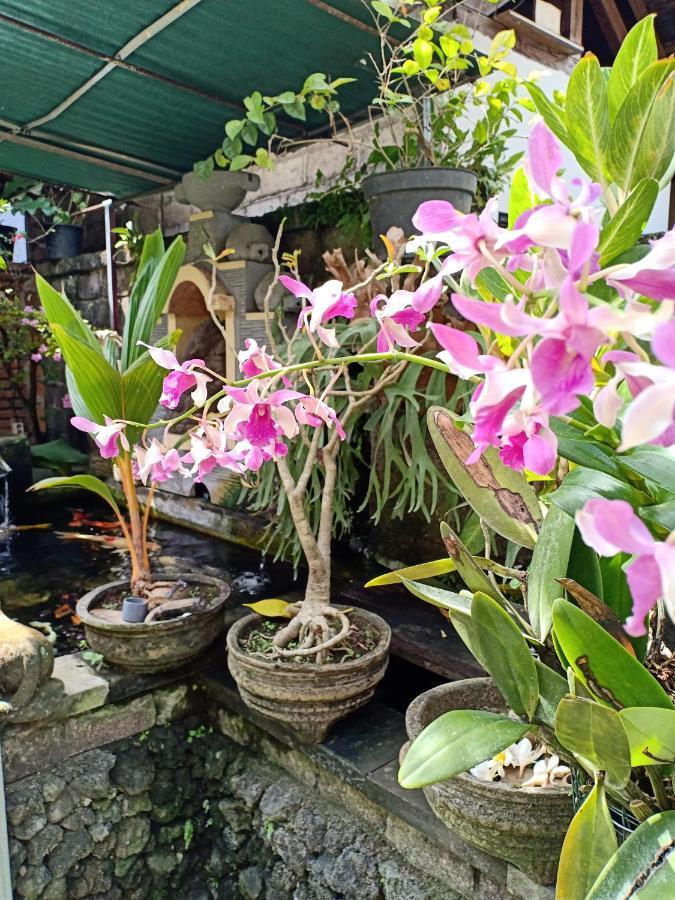 Degeg Ubud Homestay Bagian luar foto